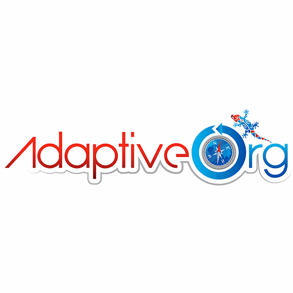 Adaptive Org for Our Team2 Adaptive Org