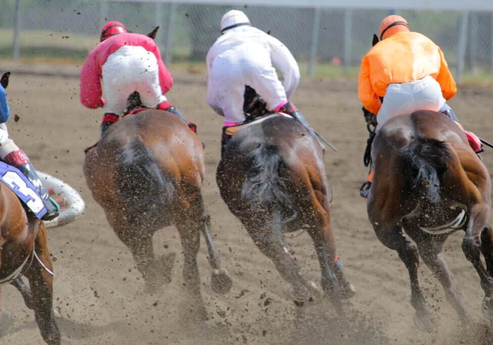 Horse Racing Action At The Track Horse Racing Action At The Track